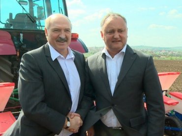 Додон отправит Лукашенко кукурузу