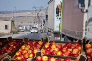 Евросоюз разблокировал поставки украинских фруктов и овощей