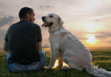 Ученые: между людьми и собаками большинство мужчин выбирают собак