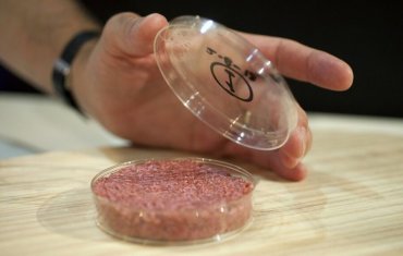 Первая российская котлета из искусственного мяса обошлась почти в миллион рублей