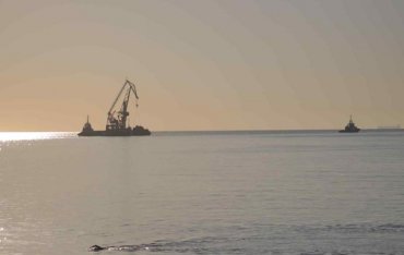 Танкер Delfi отбуксировали в порт Черноморска