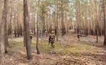 Українські бійці ССО показали феєричне полювання на ворога із засідки на Донбасі