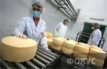 Роспотребнадзор забраковал 15 партий украинского сыра