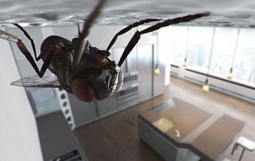 Почему мухи могут ходить вверх ногами по потолку?