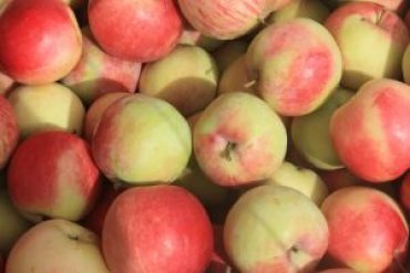 Украина установила рекорд по импорту яблок