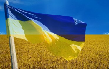 Украина поставила антирекорд по удешевлению собственного бренда
