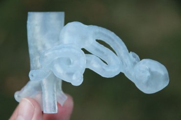 Ученые напечатали на 3D-принтере сердце и сосуды