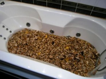 Российские туристы засолили грибы в ванне элитного отеля в Швейцарии