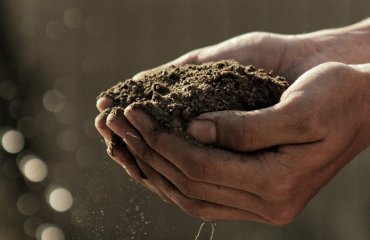 В Молдове изобрели нанопорошок для очищения почвы от пестицидов