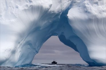 Во льдах Арктики нашли странное существо