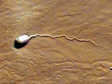 Уфологи нашли на Марсе загадочный сперматозоид