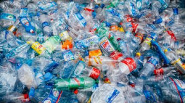 33 страны уже полностью отказались от пластика, будет ли Украина следующей