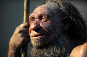У неандертальцев была развита медицина — ученые
