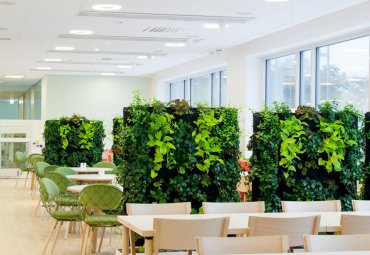 Озеленение офиса зеленой стеной: разновидности и преимущества