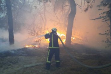 Следствие рассматривает четыре версии пожаров на Луганщине