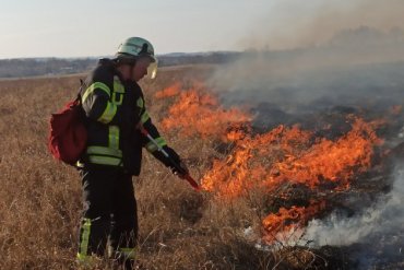 На Луганщине спасатели почти погасили пожар
