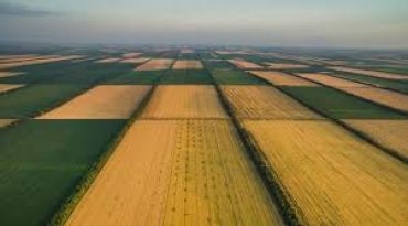 100 дней рынка земли в Украине: цена на черноземы выросла почти вдвое