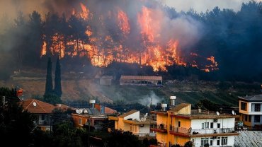 В Турции российских туристов арестовали за поджог леса