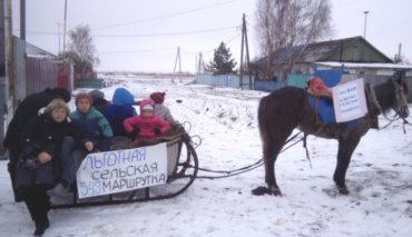 В России вместо маршруток запускают конные повозки
