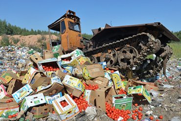 В Пскове уничтожили 35 тонн помидоров, выращенных в Украине