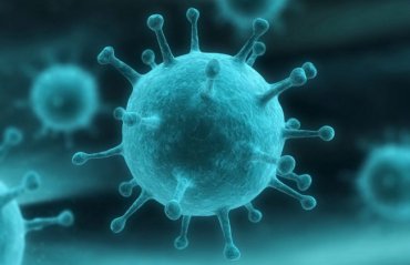 Ученые обнаружили около 1,5 тысячи новых вирусов
