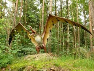 В Монголии обнаружили древнего летающего ящера размером с самолет