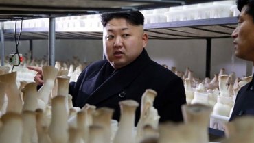 В ответ на грибы Южная Корея отправила Ким Чен Ыну мандарины