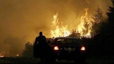 Более тысячи жителей Калифорнии пропали без вести при пожарах