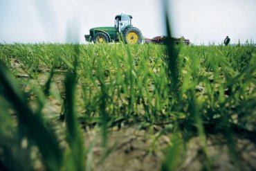Украинские агропредприятия стабильно наращивают производство