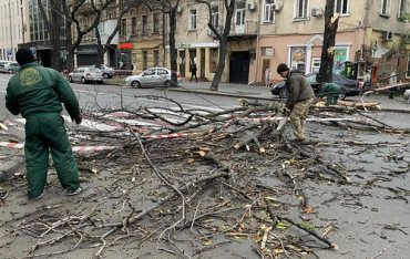 Ураган в Одессе повалил десяток деревьев