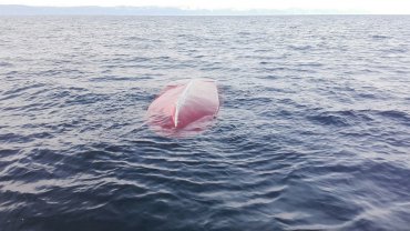 В Черном море перевернулась лодка с людьми: есть погибшие