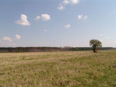 В Украине за неполный год продано 1,5 тыс. га земли