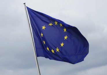 Европарламент обеспокоен ростом популярности «Свободы» в Украине