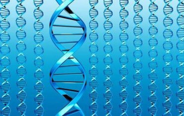 Ученые обнаружили ключевой ген