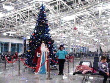 В аэропорту «Борисполь» на пассажиров упала елка