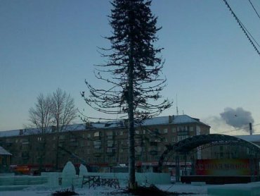 «Дед Мороз к нам не придет»: челябинцы в шоке от главной городской елки