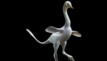 Археологи впервые нашли останки «уткозавра»