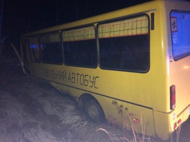BMW протаранил школьный автобус с детьми под Житомиром