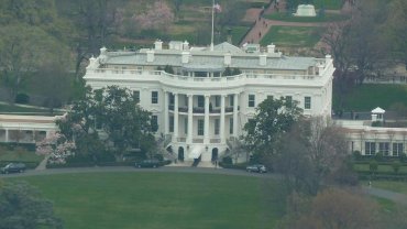 Мелания Трамп приказала спилить самое старое дерево возле Белого дома