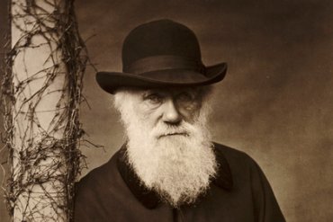 Ученые доказали несостоятельность экологической гипотезы Дарвина