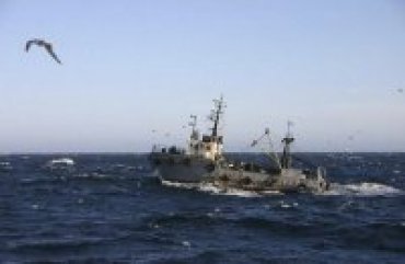 Украина попросила ОБСЕ проводить мониторинг Азовского моря