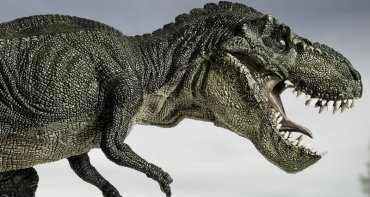 Итальянские ученые обнаружили предка тиранозавра