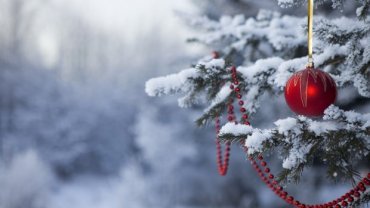 Украинцы рассказали, где встретят 2019 год: новогодняя елка не в тренде