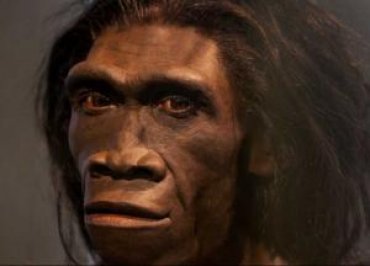 Ученые обнаружили последнюю стоянку прямоходящих предков человека