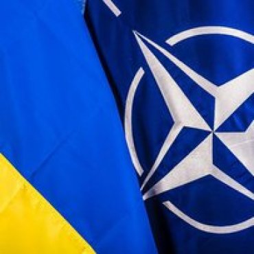 Украинцы все больше поддерживают вступление в НАТО