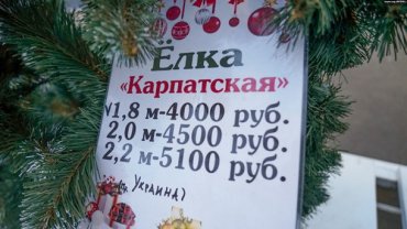 В Крыму продают елки из Украины