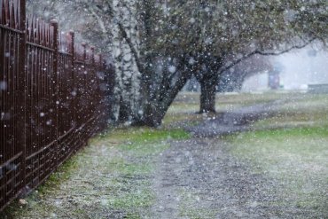 Снежно и влажно: синоптики рассказали о погоде в Украине на ближайшие дни
