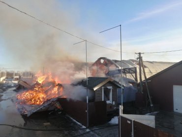 Под Киевом больше 6 часов тушили пожар на складе древесины