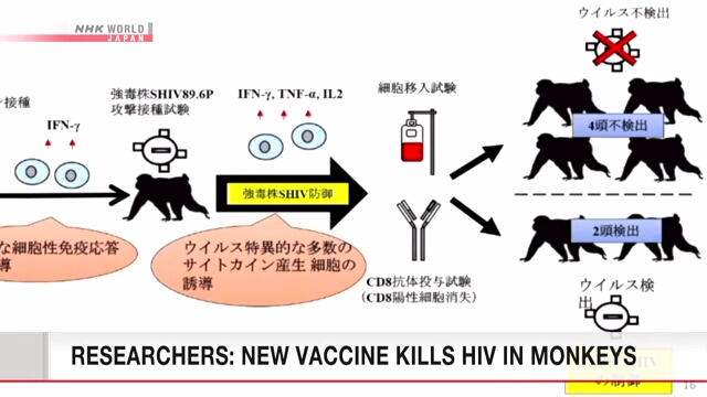 Ученые вакцинировали семь обезьян