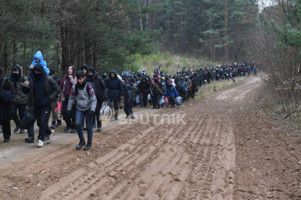 Колонна беженцев идёт к пункту пропуска